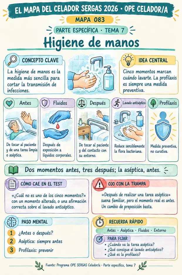 Visuel provisoire du modèle — à remplacer